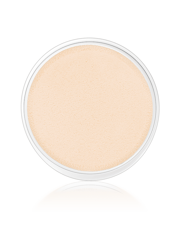 Clinique Sonic System Airbrushed Finish Liquid Foundation Sponge Head